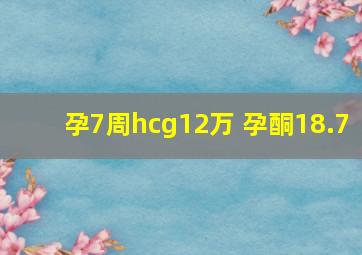 孕7周hcg12万 孕酮18.7